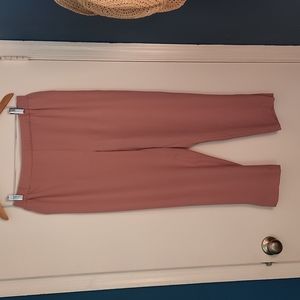 Anthropologie Essential Pull-on Trouser in pink, size M